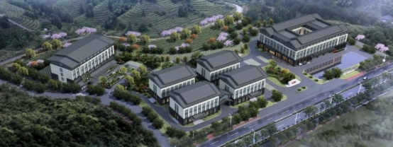 岩霸荣获【中国高端肉桂销量第一品牌】等多项市场地位声明