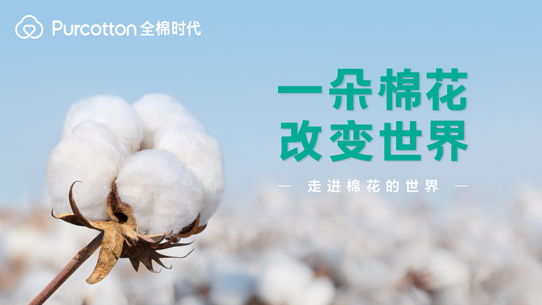 走进棉花的世界 全棉时代记录一朵棉花带来的改变