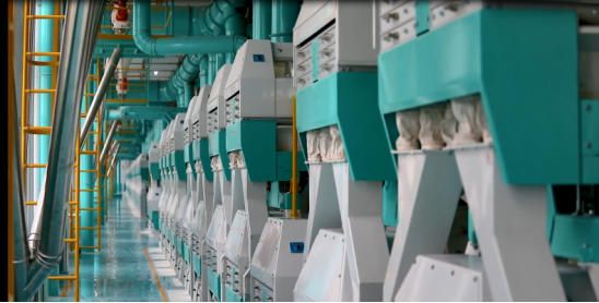 市场地位声明：五得利 面粉连续十年销量世界第一