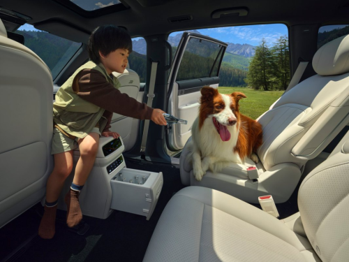 70.8% 高强钢车身！2026款东风奕派008 20 万级 SUV