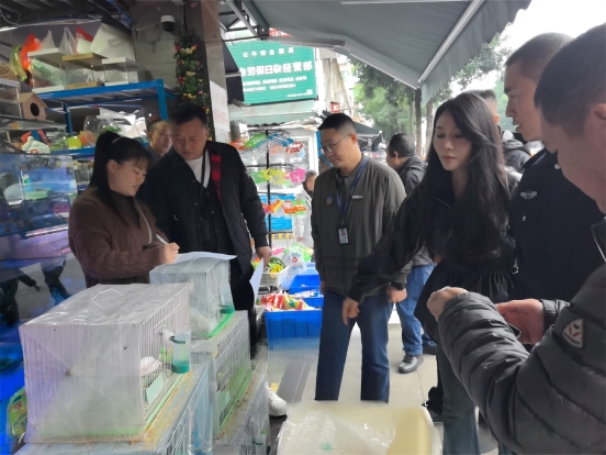 成都市双流区野生动物保护：鸟类非法猎捕贩卖专项治理