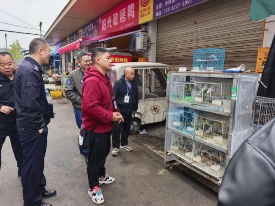 成都市双流区野生动物保护：鸟类非法猎捕贩卖专项治理