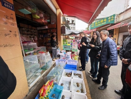 成都市双流区野生动物保护：鸟类非法猎捕贩卖专项治理