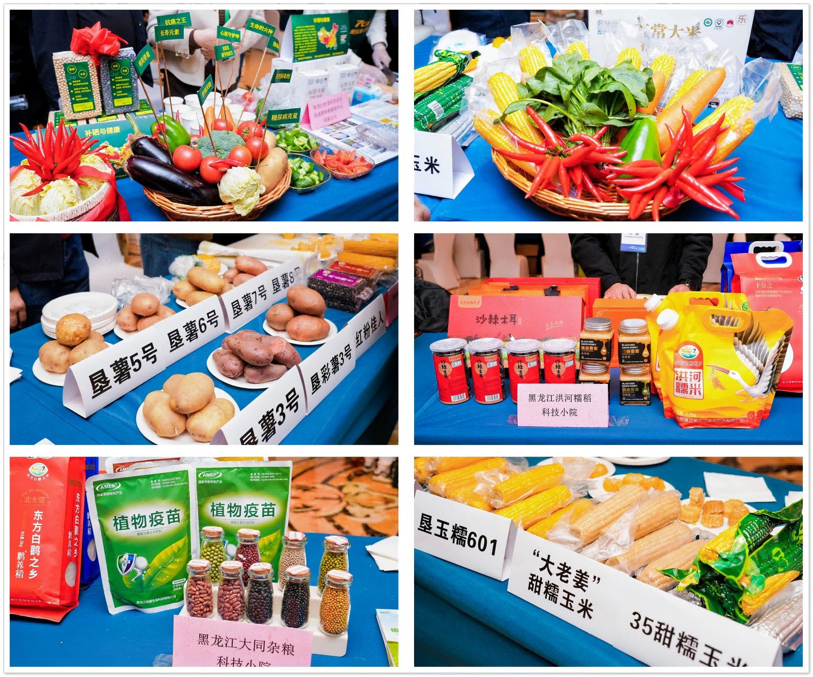 “2025全国杂粮健康产业发展论坛暨龙江优质农产品推介会”成功举办