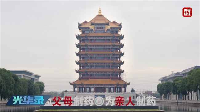 1100W+观看！央视镜头下的有机黄芪，每一根都来之不易