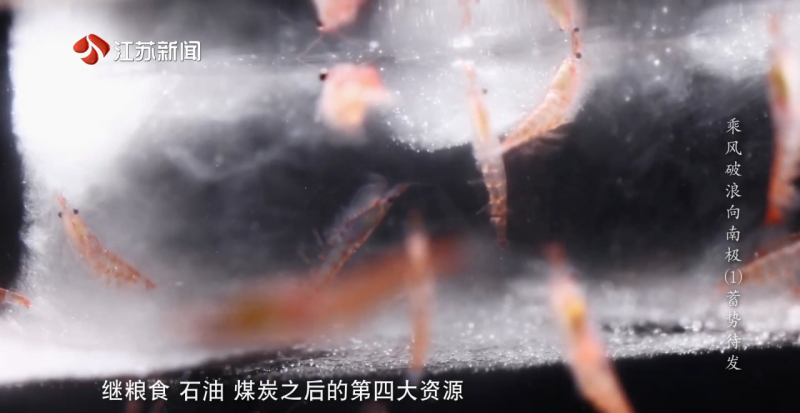 全网千万播放！深蓝BREAKER®《乘风破浪向南极》荣登江苏卫视，全景展现中国南极磷虾探捕征程